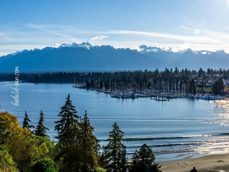 Penis Extender Troubleshooting